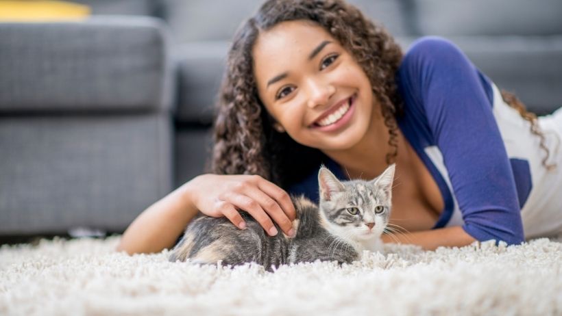 Câliner un chaton