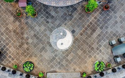 Formation Feng Shui : pourquoi est-ce vraiment utile ?