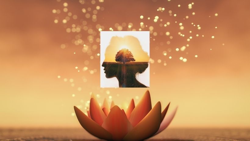 Spiritualité et développement personnel : le guide complet de l'Académie