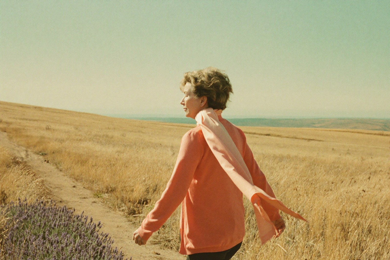 Formation chemin de vie : femme marchant sur un sentier doré vers un horizon lumineux