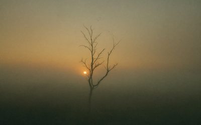 Nuit noire de l’âme : reconnaître et traverser cette épreuve intérieure