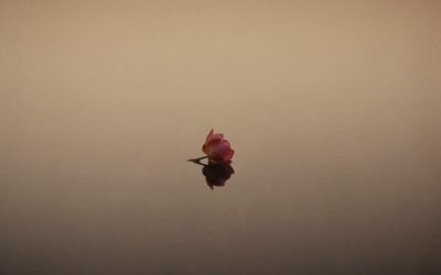 Qu’est-ce que le tantra, vraiment, au-delà des clichés ?